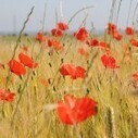 Berry Province, marque de destination et valorisation touristique | Le blog de communes.com | Actus des communes de France | Scoop.it