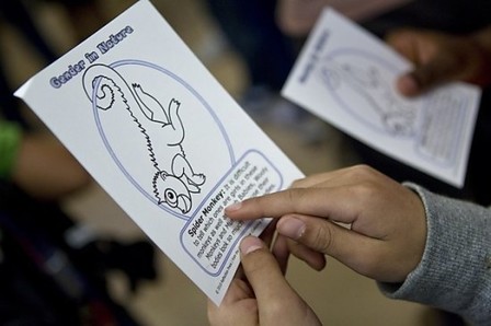 teaching sex education in elementary schools teaching sex education in elementary schools
