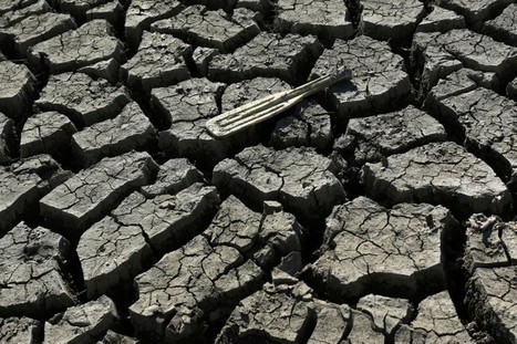 USA: La sécheresse dans l'Ouest américain épuise les nappes d'eau souterraines | Nature to Share | Scoop.it