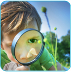Alberta Education - Inquiry Based Learning | International Baccalaureate Program | Scoop.it