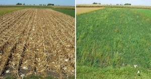 Big, Smart and Green: A Revolutionary Vision for Modern Farming | Wired Science | Wired.com | The Barley Mow | Scoop.it