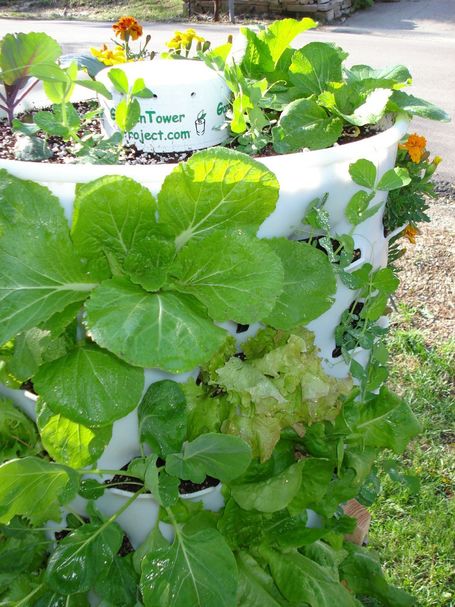 GardenTower Vertical Growing Systems | Vertical Farm - Food Factory | Scoop.it