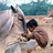 History of social behavior and nonverbal communication