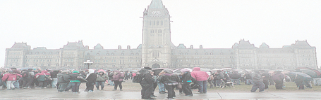 Budget cuts to libraries, archives, and information centres jeopardize ... | The Future Librarian | Scoop.it