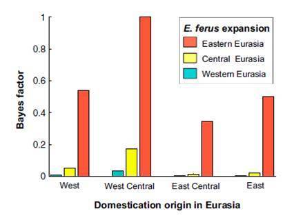 Reconstructing the origin and spread of horse domestication in the Eurasian steppe | Archaeobotany and Domestication | Scoop.it