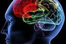 Musicians' Brains Sync Up During Duet | Science is Cool! | Scoop.it