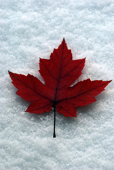 True north, strong and free | Flickr | Canadiana | Scoop.it
