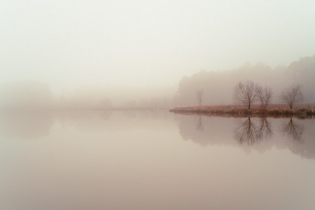 Fujifilm X-Pro1 Six Week Update | Rodney Boles | Fuji X-Pro1 | Scoop.it