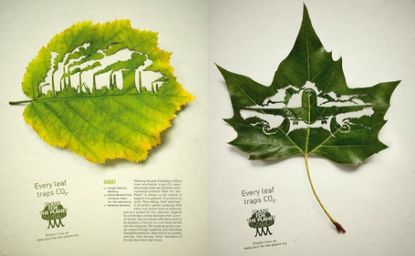 A Gorgeous Exploration Of The New Visual Language Of Sustainability | EARTH MATTERS | Scoop.it