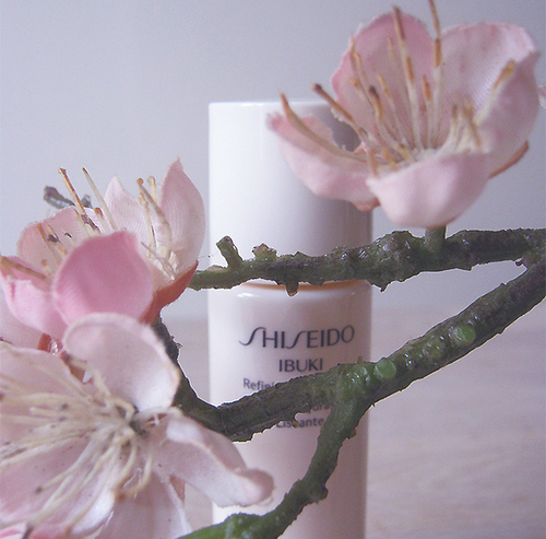 Le petit coffret Ibuki de Shiseido (cadeau) | Le rose aux joues