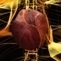 Best Science and Engineering Visualizations of 2012 | Visual Communication for Scientists | Scoop.it