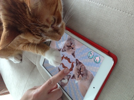 An App&rsquo;s Development Secrets Revealed, Part 1 | Transmedia: Storytelling for the Digital Age | Scoop.it