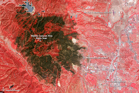 It's not just Sandy: U.S. hit by record droughts, fires, and heatwaves in 2012 | The Glory of the Garden | Scoop.it