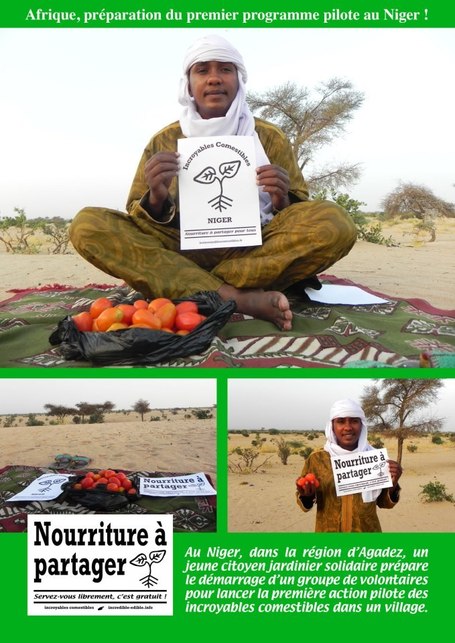 NIGER: Démarrage des Incroyables Comestibles | Nature to Share | Scoop.it