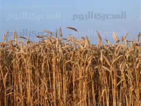 Cut hunger by half in MENA by 2015, says UN group | Food Situation - globally | Scoop.it
