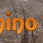 Rhino horn demand leads to record poaching | Nikela: Funding Wildlife Conservation & Education to Save Wildlife in Africa | What's Happening to Africa's Rhino? | Scoop.it