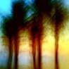 iPhoneography and art