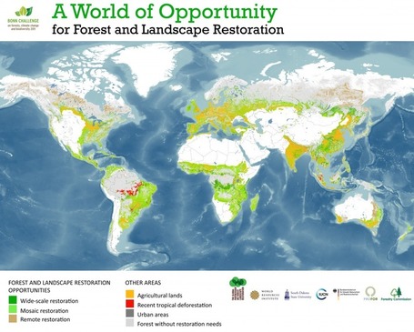 Three Ideas That Are Good for Both Economy and Environment | Corporate Social Responsibility, CSR, Sustainability, SocioEconomic, Community | Scoop.it