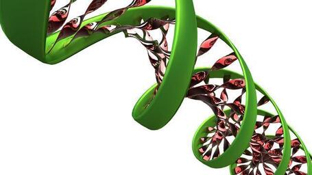 El &laquo;ADN basura&raquo; es esencial para el genoma humano | BIOCHEMIST | Scoop.it