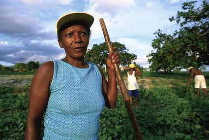 How smart is Climate Smart Agriculture? | The #Agvocate | Scoop.it