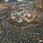 From Tahrir Square