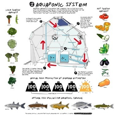 A Geodesic Dome Promises Fish from the Sky - Cities - GOOD | Humanize Technology (by design) | Scoop.it