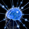 Psychology and Brain News