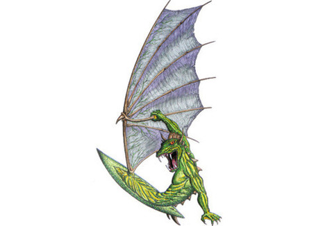  dragon wing drawings that entered the history of the windsurfing brand