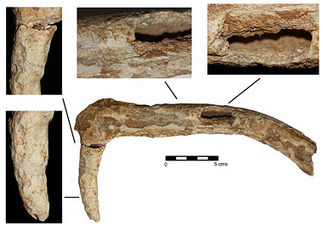 An antler sickle from the Neolithic site of Costamar at Cabanes (Castellón) on the Mediterranean Spanish coast | Archaeobotany and Domestication | Scoop.it