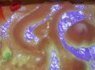 This Sandbox Will Blow Your Mind - background info on UC Davis project | Visualization in Science & Education | Scoop.it