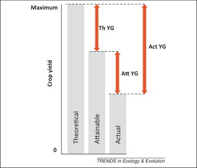 Trends in Ecology and Evolution - Ecological intensification: harnessing ecosystem services for food security | Emerging Research in Plant Cell Biology | Scoop.it