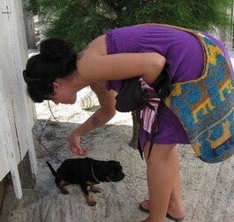 A Canadian rescues a dog in Belize | Belize You Inspire Me | Scoop.it
