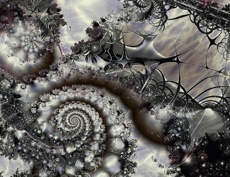 Three ways of seeing organizations &ndash; Complexity and Performance Evaluation Systems | Bounded Rationality and Beyond | Scoop.it
