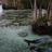 img_Best of Florida Outdoors