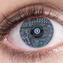 Bionic eye gives sight to the blind in medical breakthrough | Man and Machine | Scoop.it