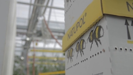 La premi&egrave;re serre commerciale sur un toit de Montr&eacute;al, et &agrave; Paris ? | Vari&eacute;t&eacute;s entomologiques | Scoop.it