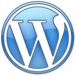 WordPress : Script PHP pour minifier le html, CSS et Javascript sans plugin | Intelligence Web | Scoop.it