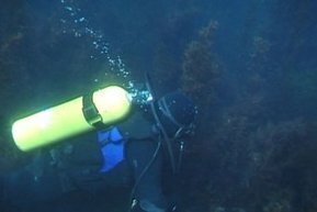 Scuba clubs oppose new boat laws - ABC News (Australian Broadcasting Corporation) | ScubaObsessed | Scoop.it