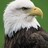 img_#classblogging
