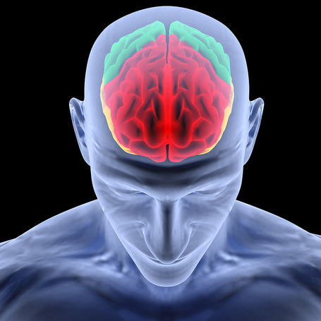 Meditation Strengthens The Brain, UCLA Researchers Say | Science News | Scoop.it