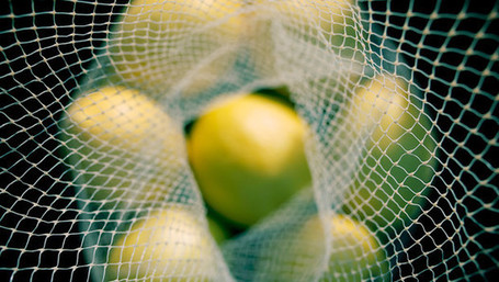 Do Your Employees Trust You? | Strategies for Managing Your Business | Scoop.it