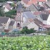 Actualit&eacute; agricole