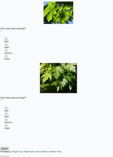 Creating a (mobile friendly) multiple choice quiz with images or multimedia | marked for sharing | Scoop.it