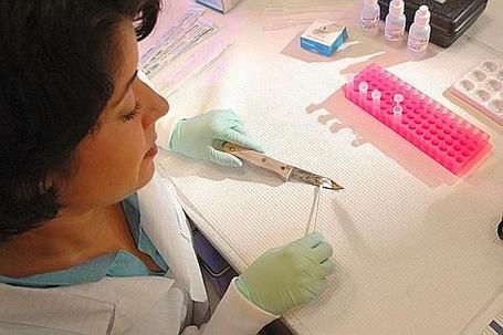 Fichiers ADN&nbsp;: 1100 crimes &eacute;lucid&eacute;s en Europe | Union Europ&eacute;enne, une construction dans la tourmente | Scoop.it