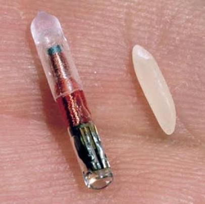 10 Body Hacks That Will Be Available By 2025 | Wepyirang | Scoop.it