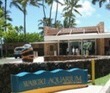 World Ocean's Day at Waikiki Aquarium - Urban Oahu | Scuba and Travel News | Scoop.it