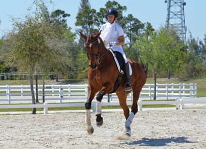 Reflections on Dressage and Dancing With Horses in Florida | Horses