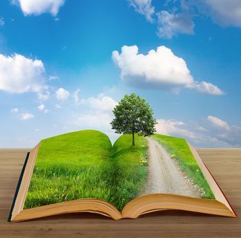 Education Is The New Marketing Strategy | Managing options | Scoop.it
