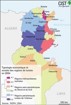 Les in&eacute;galit&eacute;s socio-territoriales aux origines de la r&eacute;volution tunisienne : d&eacute;fis du d&eacute;veloppement, enjeux pour la recherche | Le carnet de l'IRMC | Datavisualisation & g&eacute;opolitique | Scoop.it