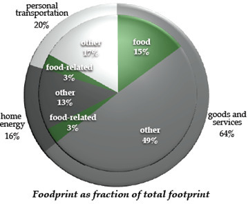 How Urban Farming can Transform our Cities & our Agricultural System | Sustain Our Earth | Scoop.it